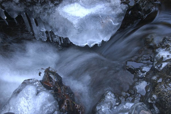 JAPAN, Ibaragi, Fukuroda-no-taki, Fukuroda Waterfall detail in the winter with gushing water and ice and frozen leaves