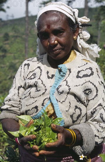 SRI LANKA, Near Haputale, Portrait of female tea picker holding a handful of tea leaves among plantation