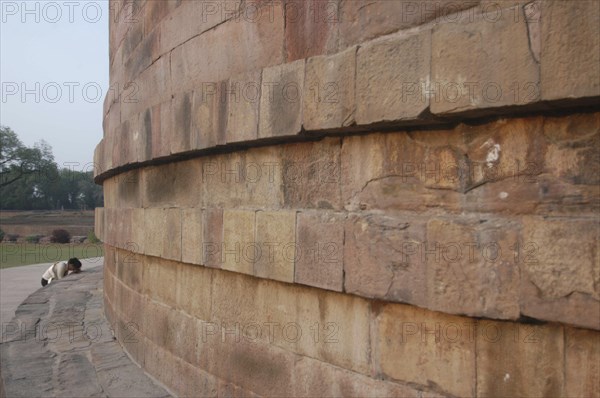 INDIA, Uttar Pradesh, Sarnath, Dhamek Stupa with a Buddhist pilgrim kneeling in prayer at the base