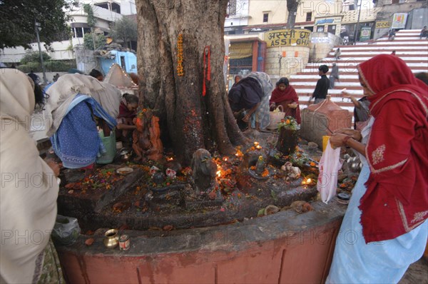 INDIA, Uttar Pradesh, Varanasi, Hindu women worshipping Shiva Lingams around a chautara tree at Asi Ghat