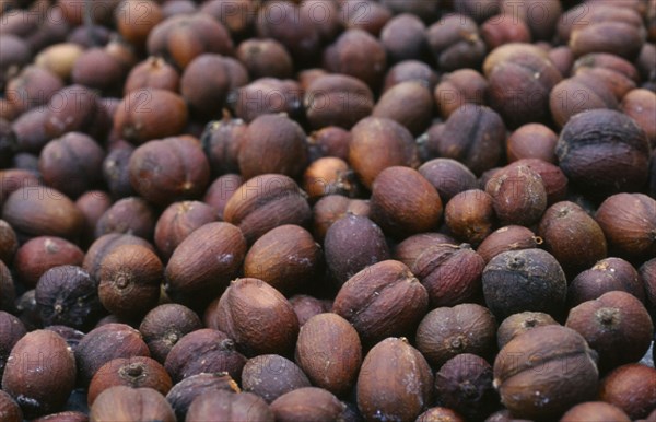 THAILAND, Chiang Mai Province, Mueng Keurt, Drying coffee seeds