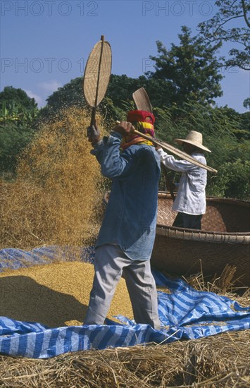 THAILAND, Lamphun Province, Ban Sap Kap Thong, Man tosses rice in the air as another winnows with bamboo fans