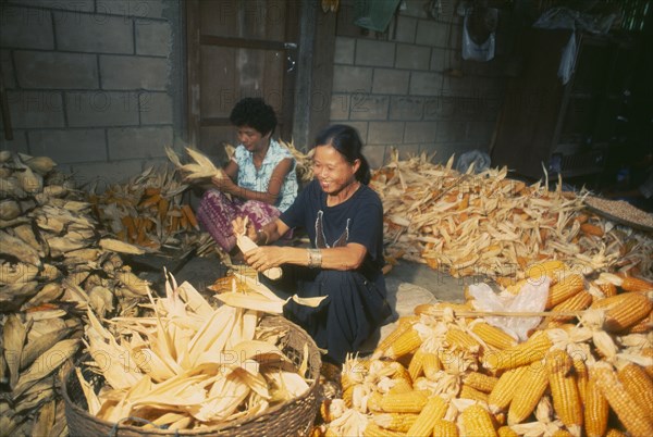 THAILAND, Chiang Mai Province, Muen Keurt, Woman shucking corn in a rural house