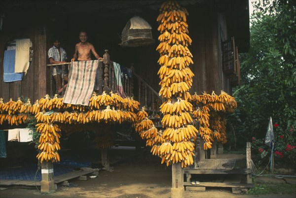 THAILAND, Chiang Mai Province, Muen Keurt, Bunches of shucked corn drying on the porch of a rural house