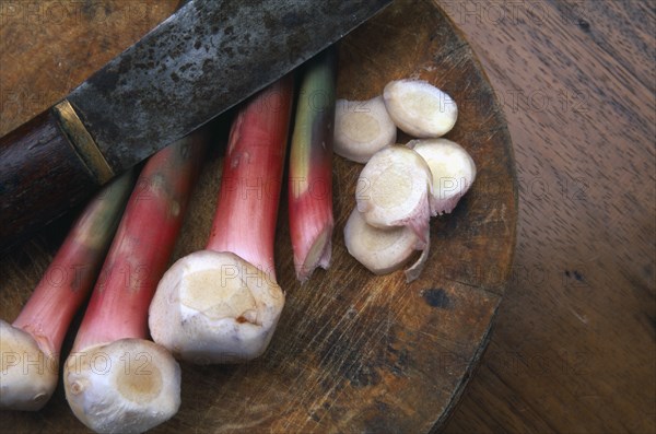 THAILAND, General, Galangal a golf club shaped ginger with sliced ends