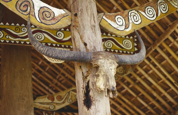 MYANMAR, Kachin State, Near Myitkyina, Jinghpaw ceremonial house interior detail of decoration and skull at Manao grounds in Waing Maw