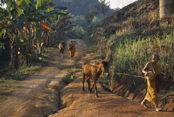 THAILAND, Wat Phra Acha Tong, Novice Buddhist monks from The Golden Horse Forest Monastery leading ponies and carrying alms bowls.  The novice monks ride out daily to preach and collect alms.