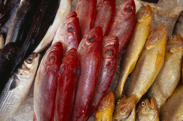 CHINA, Hong Kong, Wanchi market fish stall.