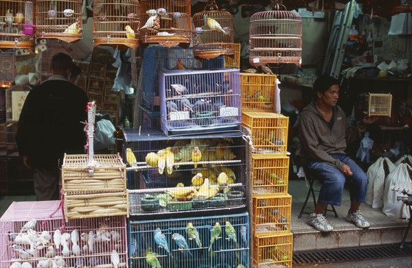 CHINA, Hong Kong, Kowloon.  Yuen Po Street Bird Garden.  Vendor on step of open fronted shop selling caged birds.