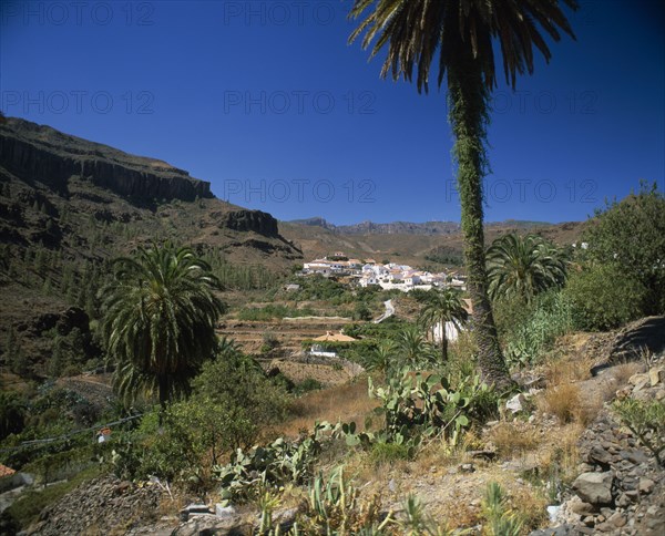 SPAIN, Canary Islands, Gran Canaria, Fataga.  White painted mountain village and terraced fields amongst trees and cacti.
