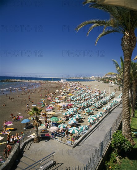 SPAIN, Canary Islands, Gran Canaria, San Augustin Playa de las Burras.  Sandy beach crowded with holidaymakers and lines of green and white sun loungers and sun umbrellas.