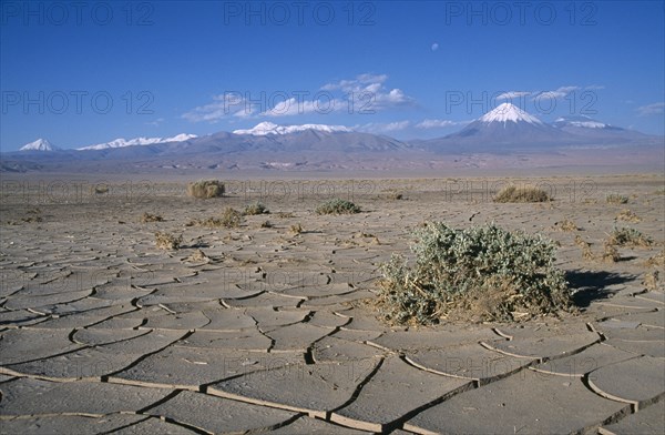 CHILE, Antofagasta, General, Cracked earth of desert surface near San Pedro de Atacama with snow capped peak of Volcano Lincancabur beyond.