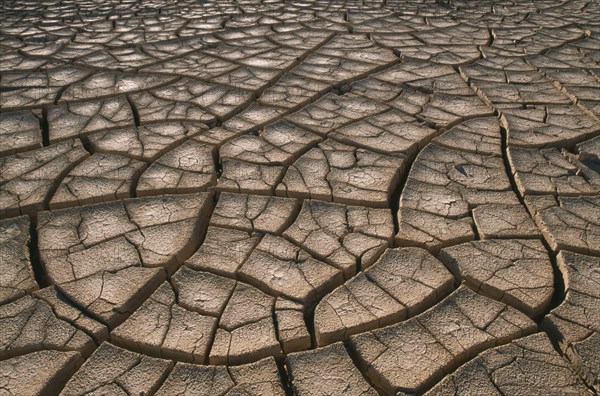 CHILE, Atacama Desert, Cracked mud of desert surface near San Pedro de Atacama.