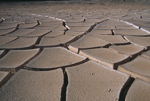 CHILE, Atacama Desert, Cracked mud and fox tracks on desert surface near San Pedro de Atacama.