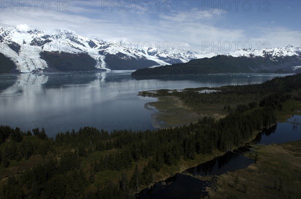 USA, Alaska, College Fjord, View over trees and calm waters of the bay toward snow capped mountain range