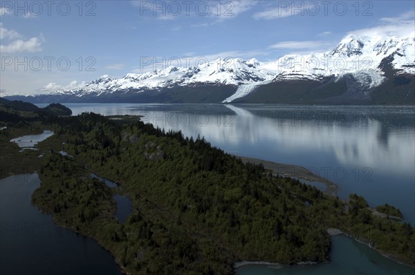USA, Alaska, College Fjord, View over trees and calm waters of the bay toward snow capped mountain range