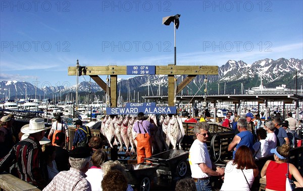 USA, Alaska, Seward, Fishermen hanging up catch in a busy port