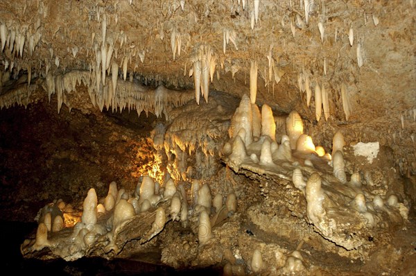 WEST INDIES, Barbados, St Thomas, Harrisons cave rock formations within cave including stalactites and stalagmites