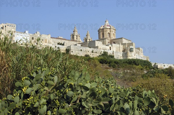 MALTA, Mdina, View up green slopes toward hilltop city