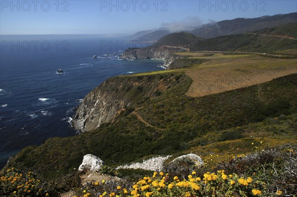 USA, California, Big Sur, Pacific Coast Highway. View over green coastline with rocky cliffs