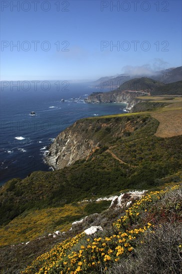 USA, California, Big Sur, Pacific Coast Highway. View over green coastline with rocky cliffs