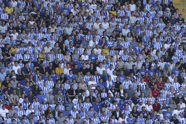 SPORT, Crowds, Brighton and Hove Albion fans at the Millennium stadium Cardiff.
