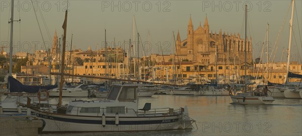 SPAIN, Balearic Islands, Majorca, Evening view of the harbour in Palma de Mallorca with La Seo cathedral lit by the setting sun in the background.