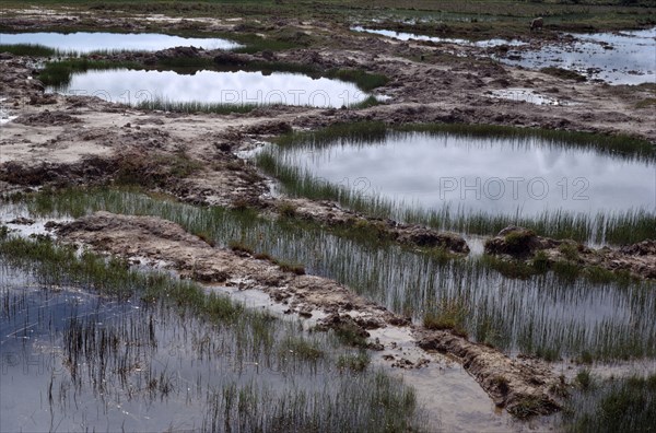 LAOS, War Damage, Bomb craters from US bombing.