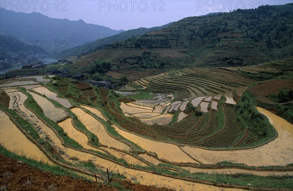 CHINA, Guangxi Province, Landscape, Terraced rice paddies near Longsheng in province known for its minority tribes and rice terraces.
