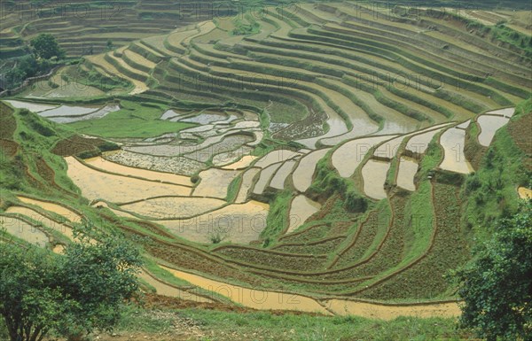 CHINA, Guangxi Province, Terraced rice paddies near Longsheng in province known for its minority tribes and rice terraces.