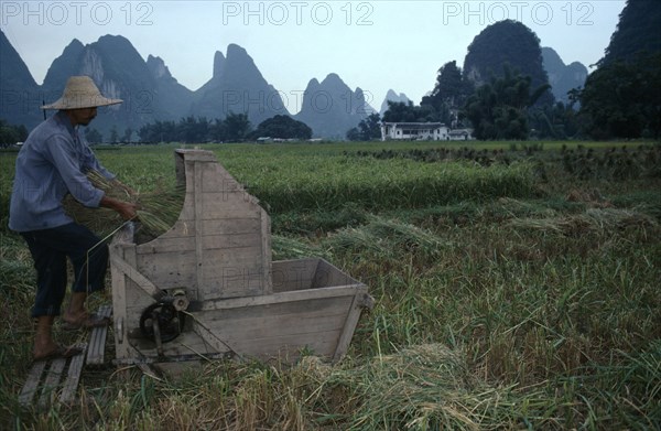 CHINA, Guangxi Province, Guilin, Man harvesting rice using pedal powered cutting machine.