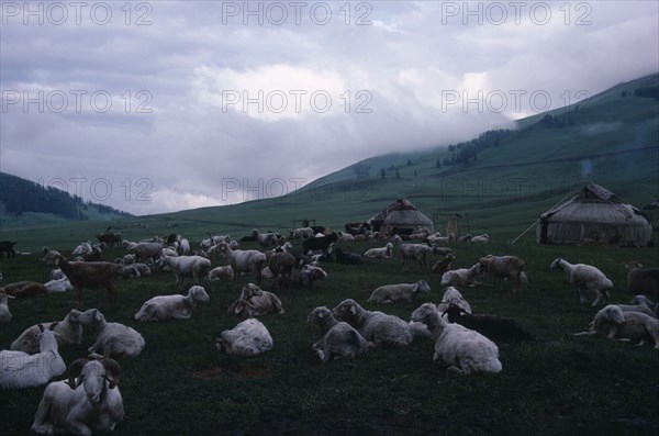20065913 CHINA Xinjiang Kazakh Kazakh nomad felt tents or kigizuy in summer pasture with sheep herd in the foreground.