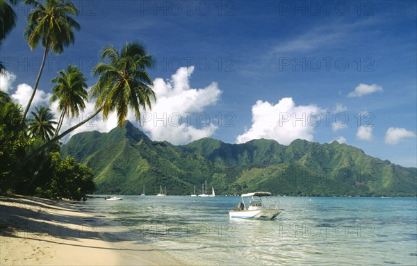 PACIFIC ISLANDS, French Polynesia, Moorea, Yachts and motor boat moored offshore of sandy beach fringed with palms.  Jagged coastline beyond.