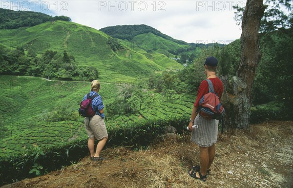 MALAYSIA, Perak Province, Cameron Highlands, Sungai Palas Estate with tourist couple looking out over tea plantation.
