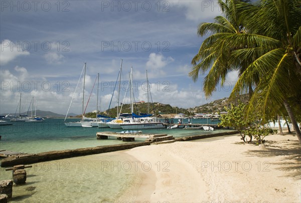 WEST INDIES, St Vincent & The Grenadines, Union Island, Clifton Harbour moorings and beach outside the Anchorage Yacht Club