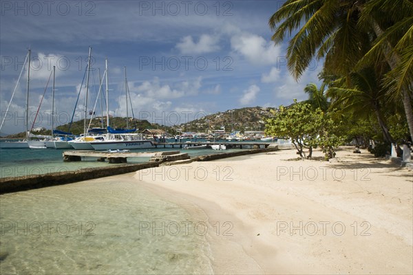 WEST INDIES, St Vincent & The Grenadines, Union Island, Clifton Harbour moorings and beach outside the Anchorage Yacht Club