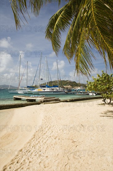 WEST INDIES, St Vincent & The Grenadines, Union Island, Clifton Harbour moorings and beach outside the Anchorage Yacht Club