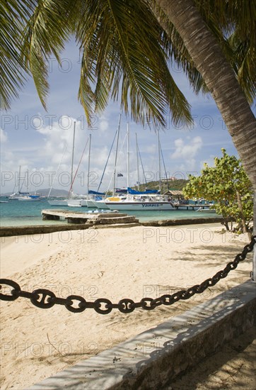 WEST INDIES, St Vincent & The Grenadines, Union Island, Clifton Harbour moorings and beach outside the Anchorage Yacht Club