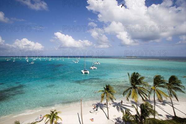 WEST INDIES, St Vincent & The Grenadines, Tobago Cays, Tourists and moored yachts off the beach at Jamesby Island