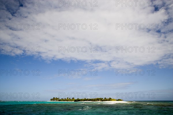 WEST INDIES, St Vincent & The Grenadines, Tobago Cays, Petit Tobac island