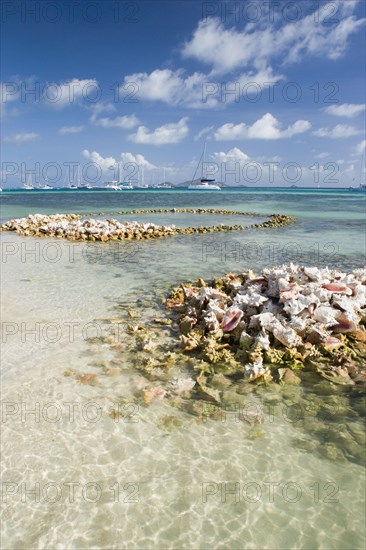 WEST INDIES, St Vincent & The Grenadines, Union Island, Conch shell structures on the beach at Clifton Harbour with yachts moored behind