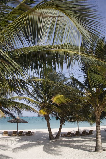 WEST INDIES, St Vincent & The Grenadines, Canouan, Coconut trees shelters and sunbeds on Jambu Beach at raffles Resort