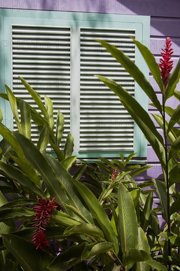 WEST INDIES, Barbados, St James, Brightly coloured Holetown Chattel house with tropical plants