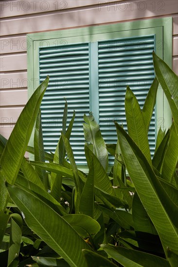 WEST INDIES, Barbados, St James, Brightly coloured Holetown Chattel house with tropical plants