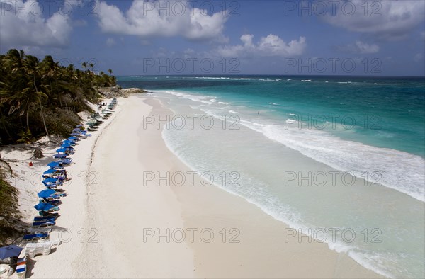 WEST INDIES, Barbados, St Philip, Crane Beach with sunbeds and umbrellas on the beach edge