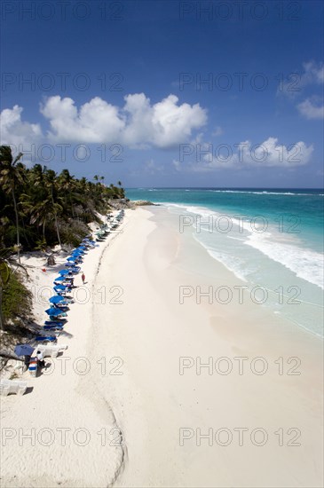 WEST INDIES, Barbados, St Philip, Crane Beach with sunbeds and umbrellas on the beach edge