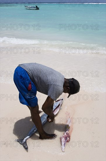 WEST INDIES, Barbados, Christ Church, Fisherman gutting a King Fish on Worthing Beach