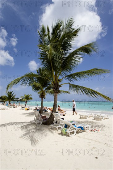 WEST INDIES, Barbados, Christ Church, Tourists under coconut palm trees on Worthing Beach