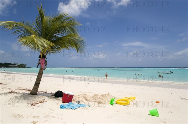 WEST INDIES, Barbados, Christ Church, Childrens beach toys under coconut palm tree on Worthing Beach