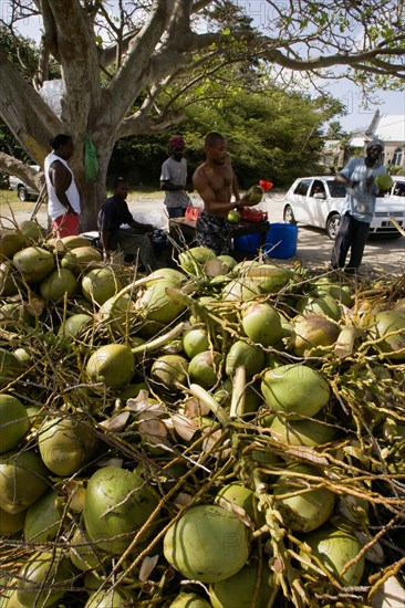 WEST INDIES, Barbados, St James, Men opening coconuts to sell the juice in bottles beside the road in Holetown